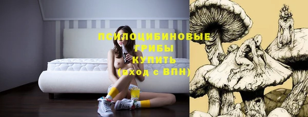мескалин Новозыбков