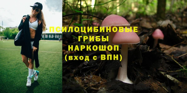 мескалин Новозыбков
