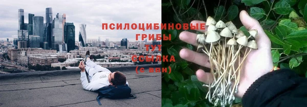 мескалин Новозыбков