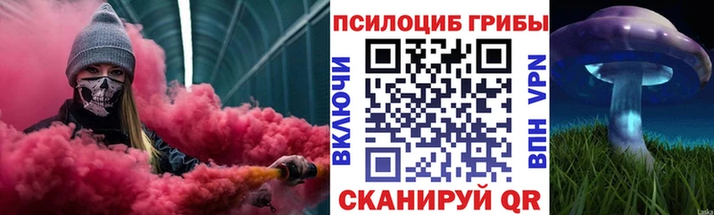 Псилоцибиновые грибы Psilocybine cubensis  купить  сайты  Тарко-Сале 